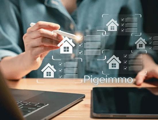 Pigeimmo A New Name in Property Innovation
