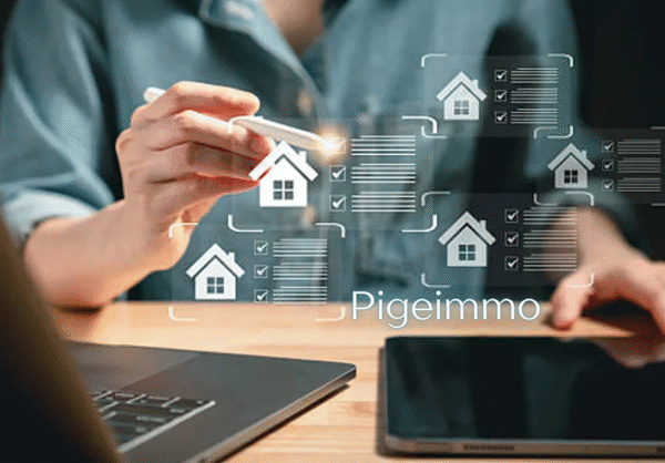 Pigeimmo A New Name in Property Innovation