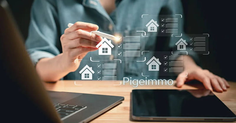 Pigeimmo A New Name in Property Innovation